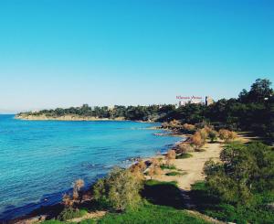 an island in the middle of a body of water at Klonos Anna in Egina