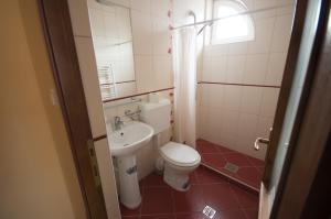 a small bathroom with a toilet and a sink at Sziklakert Fogadó in Sâncrai +14 photos
