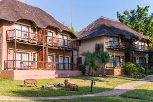 a group of animals grazing in front of a building at Chobe Marina Lodge in Kasane