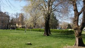 Vonkajšia záhrada v ubytovaní Szamóca Apartman