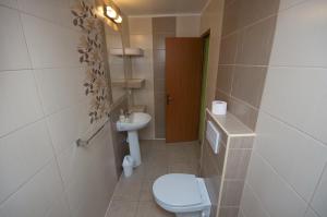 a bathroom with a toilet and a sink at Sziklakert Fogadó in Sâncrai