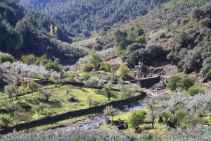 Gallery image of Casa Zambrana in Pinofranqueado