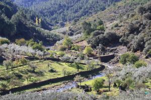 Φυσικό τοπίο κοντά σε αυτή η εξοχική κατοικία
