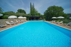 una gran piscina con sillas y sombrillas en Agriturismo Le Colombe Assisi, en Asís