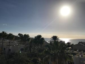 widok na ocean z palmami i budynkami w obiekcie Moderno apartamento con vistas al mar w mieście Playa del Aguila