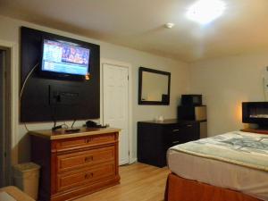 ein Schlafzimmer mit einem Bett und einem TV an der Wand in der Unterkunft American Plaza Motel in London