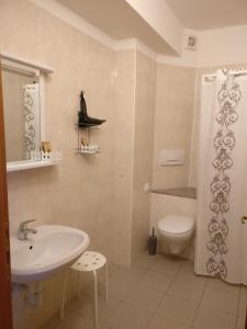 Koupelna v ubytování Garnì Al Laghet