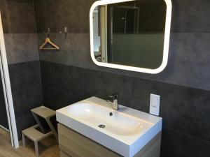 ein Badezimmer mit Waschbecken und Spiegel in der Unterkunft Appartements Les Rochelais in La Rochelle + 16 Fotos