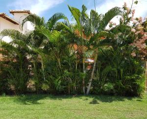 En have udenfor Karina Estudio + 35 billeder