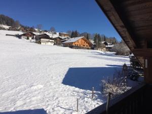 uma vista para um campo coberto de neve com um alojamento de turismo selvagem em Chalet Mutzli em Gstaad