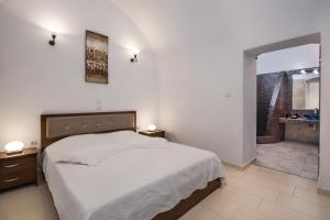 a bedroom with a bed and a bathroom with a shower at Unique Leta in Fira