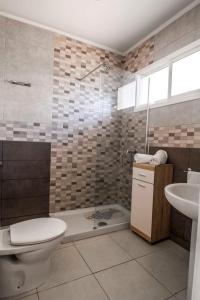 アデへにあるApartamentos Costa Adejeのバスルーム(トイレ、洗面台、シャワー付)