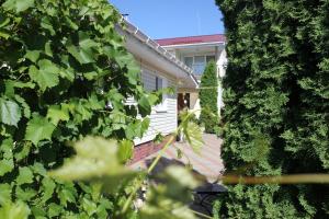 Vonkajšia záhrada v ubytovaní Family Complex EkoKomfort