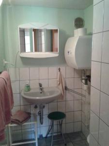 a small bathroom with a sink and a mirror at Wehlener Landhaus in Stadt Wehlen, Sächsische Schweiz in Stadt Wehlen