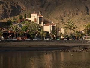 
a beach with palm trees and palm trees at Apartamentos Baja Del Secreto in Valle Gran Rey
