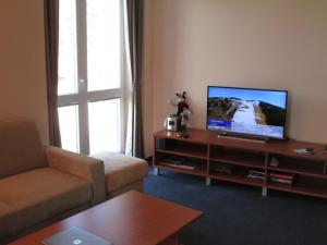 TV a/nebo společenská místnost v ubytování Apartman Golem Tatranská Štrba