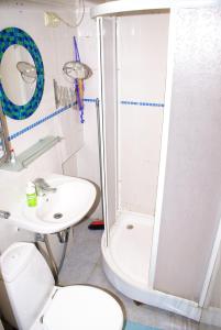 a bathroom with a shower and a toilet and a sink at Studio Na Pervom Etazhe in Moscow