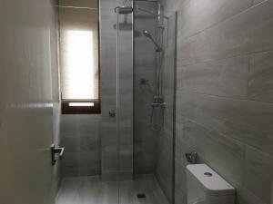 a bathroom with a glass shower with a toilet at New Apartments Ronda in Ronda