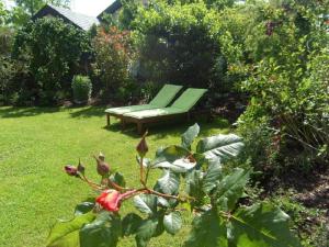 a green bench sitting in a yard next to a garden at Wohlfühlhaus Immenstaad in Immenstaad am Bodensee