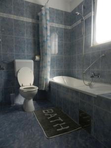 a bathroom with a toilet and a tub and a sink at Villa Doris YourCroatiaHoliday in Premantura +18 photos
