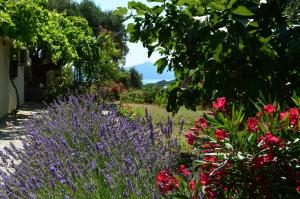 a garden with purple flowers and plants at Villas Zoe in Skiathos