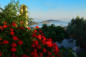 a bunch of red flowers in front of the water at Villas Zoe in Skiathos