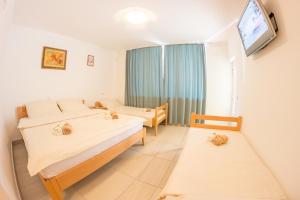 Galeriebild der Unterkunft Villa Ami in Novi Sad