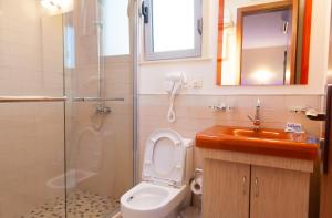 uma casa de banho com um WC, um lavatório e um chuveiro em Hotel Blue Moon em Ulcinj