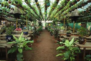 a room filled with tables and potted plants at Jungle Book Resort in Collem