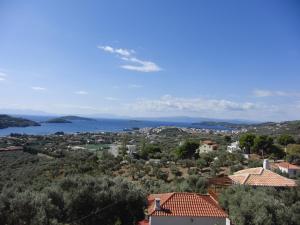 a view of a town with a lake and buildings at Villas Zoe in Skiathos