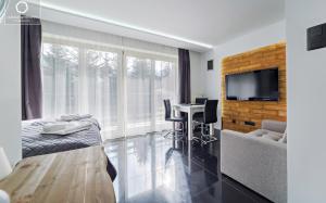 Telewizja i/lub zestaw kina domowego w obiekcie Wonder Home - Apartamenty w cichej i zielonej części Karpacza - z miejscem na grilla i parkingiem