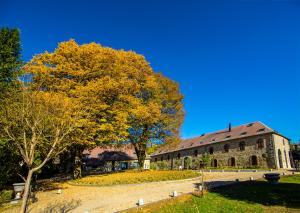 an old building with a tree in front of it at Etoile de Pompadour in Arnac-Pompadour