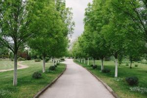 Jardí fora de Salaš Đorđević