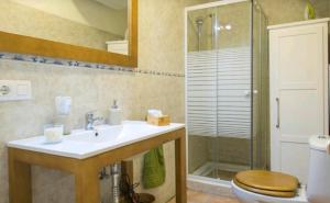 a bathroom with a sink and a toilet and a shower at Apartamento Alfileritos XX in Toledo