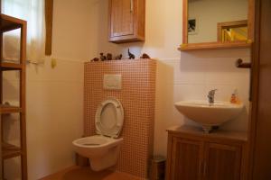 łazienka z toaletą i umywalką w obiekcie 13 Komnata Terchová w Tierchowej