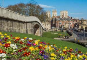 a bunch of flowers on a hill next to a wall at Hunter House Holiday Apartment - York in York