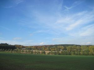 a large green field with trees in the background at Ferienwohnung Zum Landsknecht in Lissendorf +12 photos