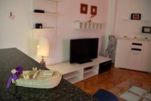 TV a/nebo společenská místnost v ubytování Aurelia Apartment