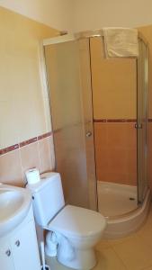 a bathroom with a toilet and a sink and a shower at Zajazd Gosciniec in Łańcut