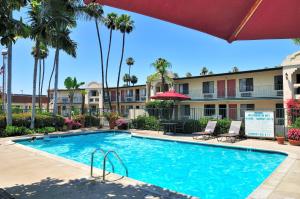 einen Pool in einem Resort mit Palmen in der Unterkunft Lamplighter Inn & Suites at SDSU in San Diego