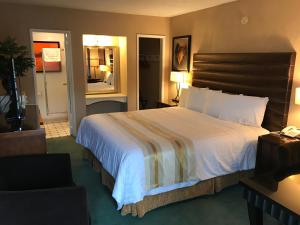 una camera d'albergo con un letto grande e una sedia di Discovery Inn a Grants Pass