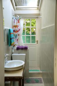 baño con lavabo y aseo y ventana en Loft Urbano en Tandil