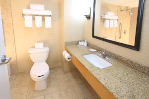 a bathroom with a toilet and a sink and a mirror at Holiday Inn Express Hotel & Suites CD. Juarez - Las Misiones by IHG in Ciudad Juárez