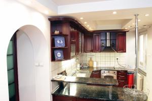 贝尔格莱德贝尔格莱德共和国广场公寓的配有木质橱柜和台面的厨房 更多25张照片