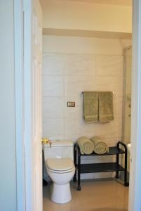 Koupelna v ubytování Santo Domingo frente Bellas Artes + 14 fotografií