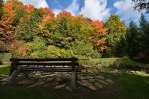 a park bench sitting in front of a bunch of trees at La Sapinette in Val-David