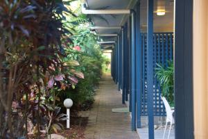 Foto dalla galleria di Lazy Lizard Motor Inn a Port Douglas