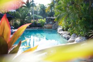 Piscina di Lazy Lizard Motor Inn o nelle vicinanze