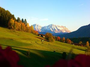 un campo verde con alberi e montagne sullo sfondo di Alpegger a Terento