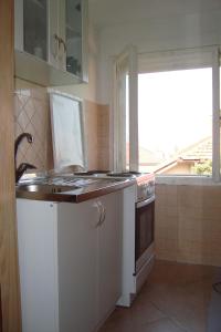 Kuchyň nebo kuchyňský kout v ubytování Guest House Džemo